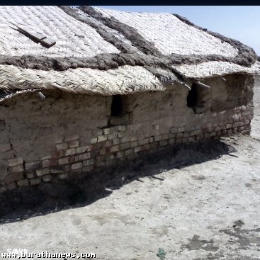 ����� �����