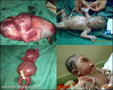 ����� ���